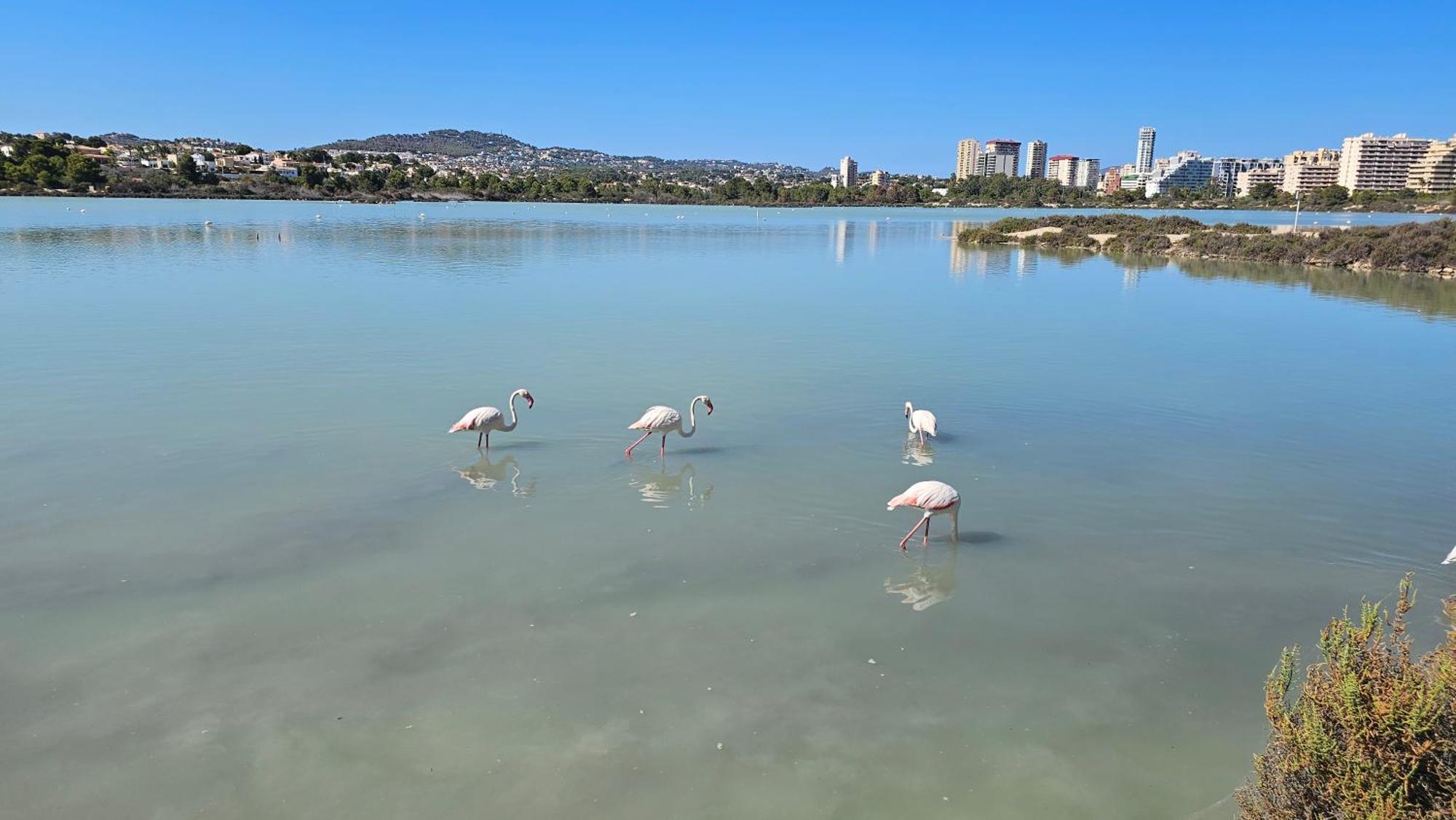 Apartamentos Esmeralda 111B Calpe Bagian luar foto